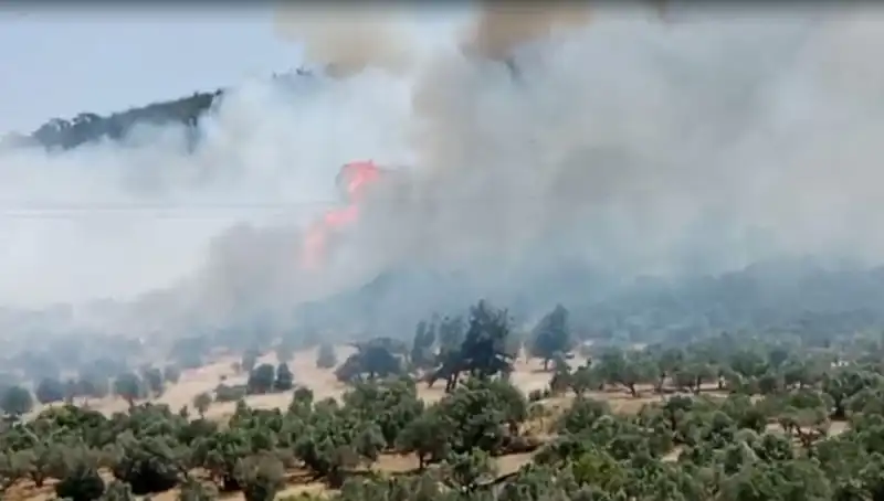 İzmir'de Yangın Alarmı! Orman Yangınına Anında Müdahale Devam Ediyor