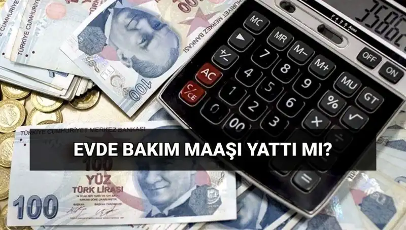 Haziran 2023 Evde Bakım Maaşları Yatan İller: Sorgulama Rehberi