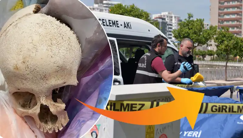 Sitenin Çöpünde Bulunan Kafatasının Gizemi Çözülüyor: Uzman Doktora Gözaltı!