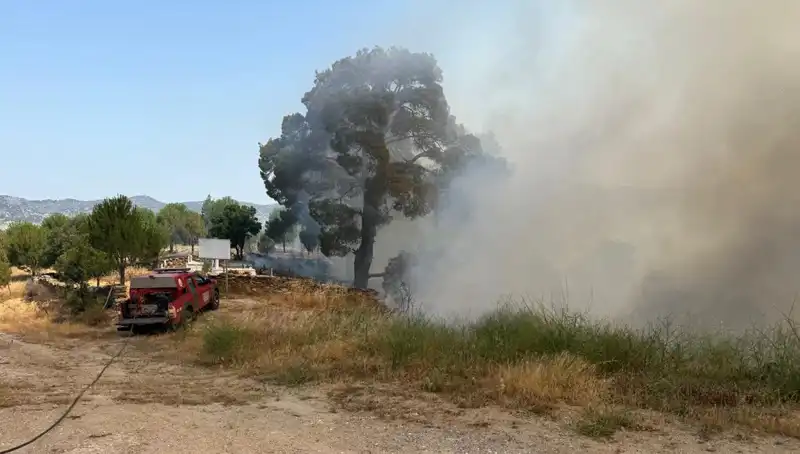 Muğla'da Orman Yangını: Doğa Felaketiyle İlgili Her Şey