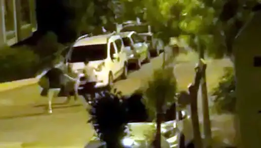 Avcılar’da Cani Saldırı! Cesur Vatandaşlar Tehlikeyi Bertaraf Etti