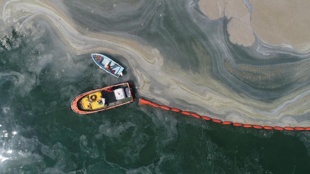 Marmara Denizi'nde Müsilaj Sorunu Artarak Devam Ediyor