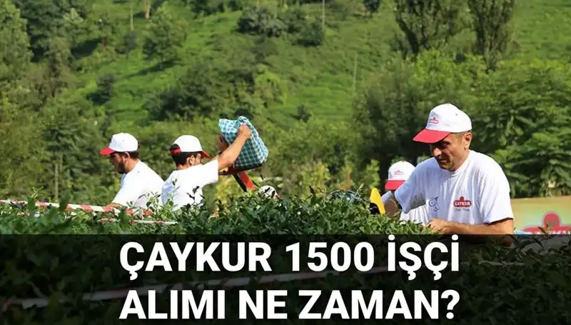 ÇAYKUR İşçi Alımında Kura Çekimi İçin Geri Sayım Başladı!