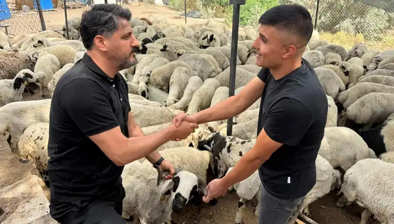 Kurbanlık Et Alımında Dikkat Edilmesi Gerekenler: Tuz ve Sumak Tehlikesi