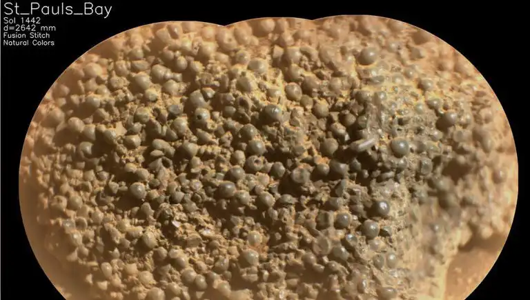 Mars'ta Gizemli "Örümcek Yumurtaları" Keşfi: Uzay Bilimcilerini Şaşırttı