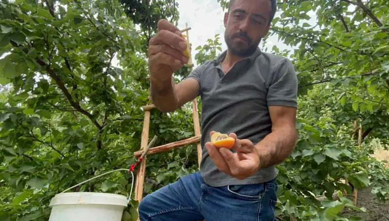50 TL ile 70 TL Arası Fiyatıyla Damağınızda Eşsiz Bir Tat Bırakıyor
