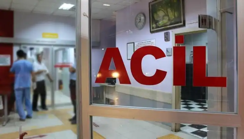 Rize'de Trajik Kaza: Ağaç Kesimi Sonrası Hayatını Kaybeden Genç Adam